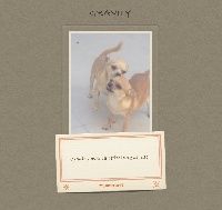 Étalon Chihuahua - Granity Des hercules de font bouillant