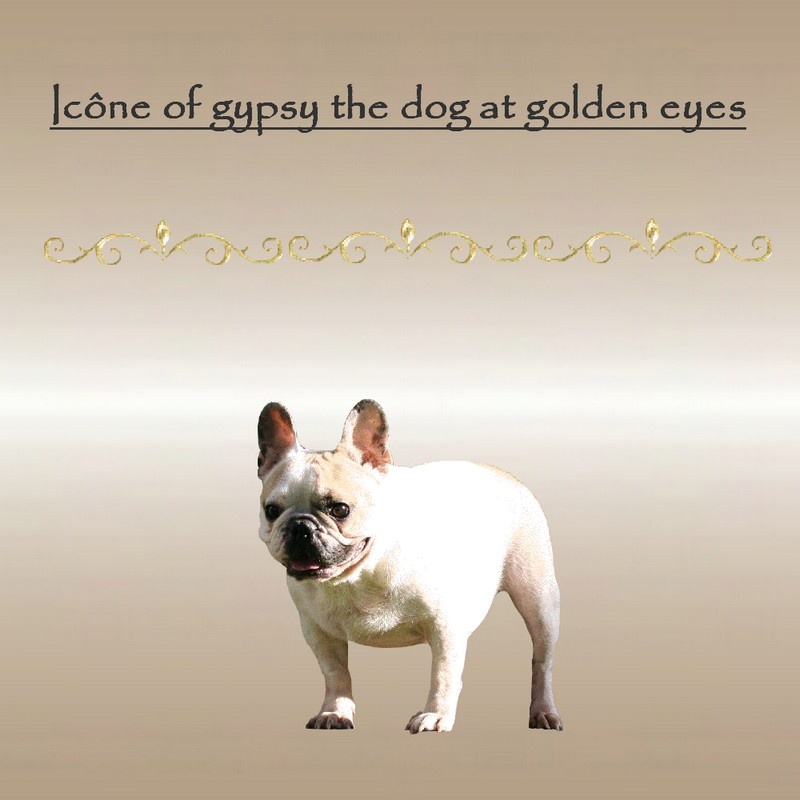 Publication : of gypsy the dog at golden eyes  Auteur : poinsot carole
