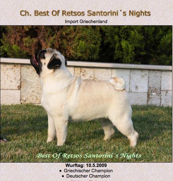CH. Best of restos santorini's nights