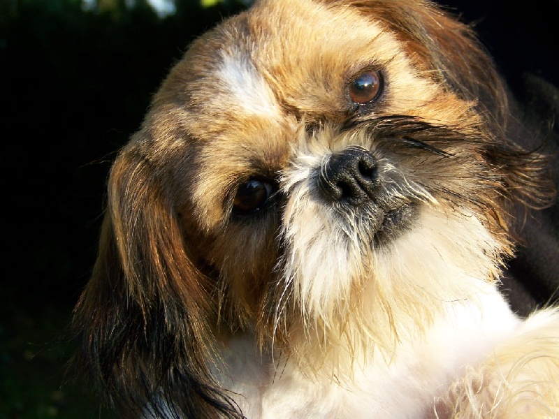 Jagger Du logis de beaumanoir