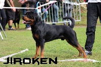 Étalon Rottweiler - Jiroken of Krie Gerische Schawarz