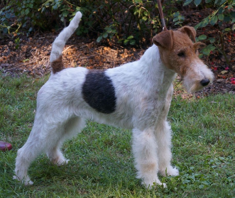 Jolie mome Du clos des amoureux