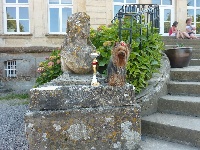 Étalon Yorkshire Terrier - Gildwin du Chateau du Ghouts