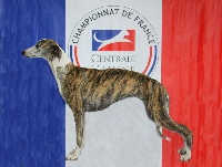 V ch de fr joy of heart of Cyly of Course