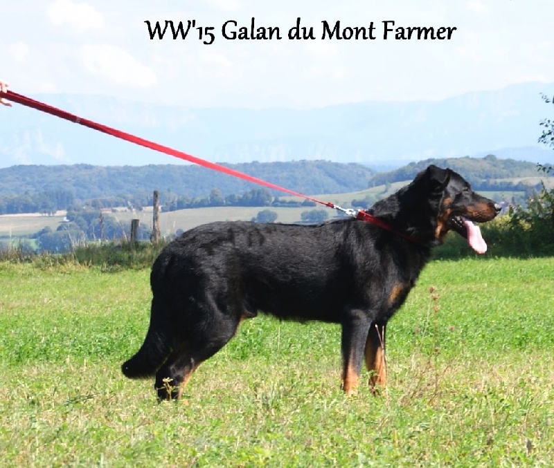 Ww'15 galan Du Mont Farmer