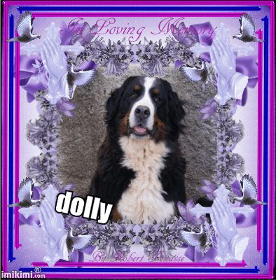 Dolly Des roches du mettey