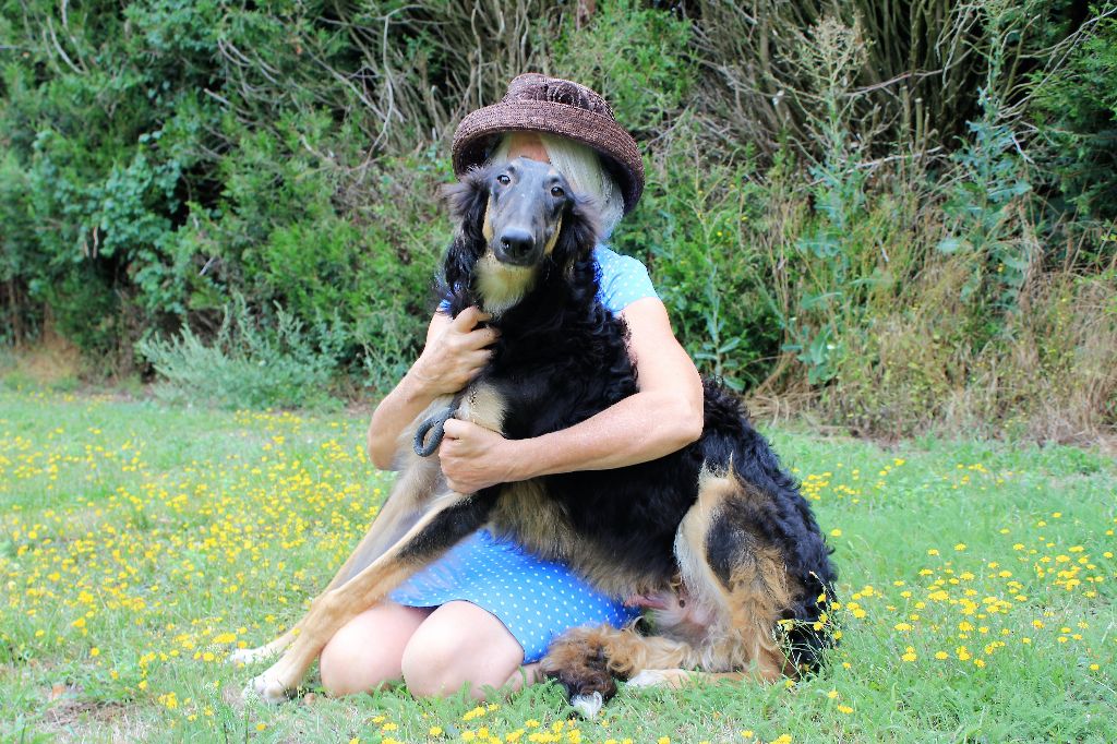 Magic black beauty d'Aleksandrovsh