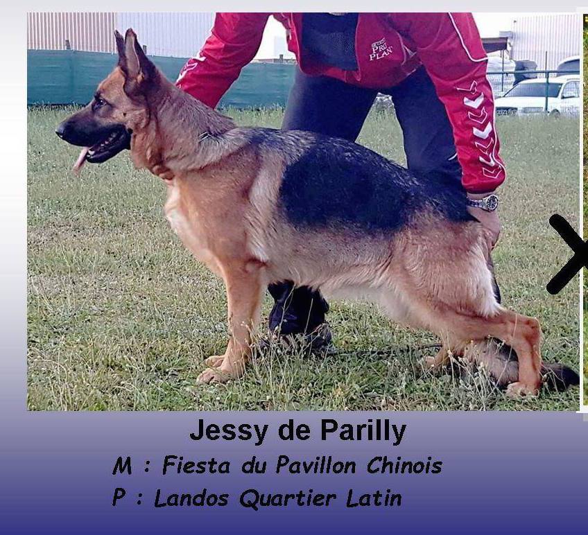 Jessy De parilly