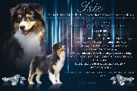 CH. Imperial isis black diamond du Chemin de la Lune aux Reves