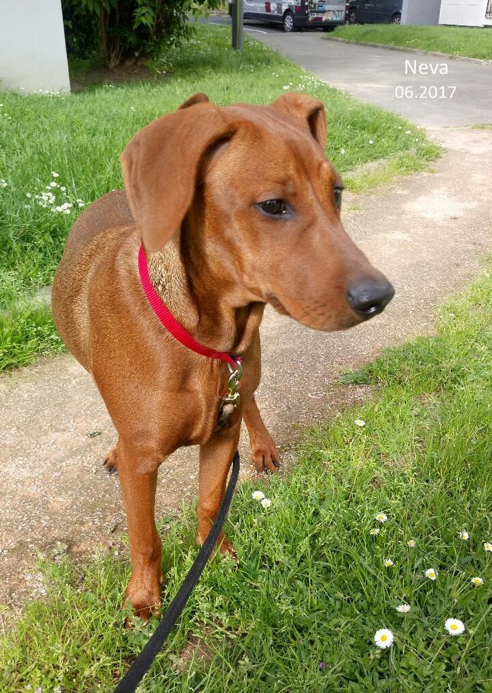 Mademoiselle neva De La Tour De Cruzières