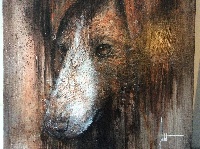 Étalon Fox Terrier Poil lisse - Hiris de l'etang du bois blanc