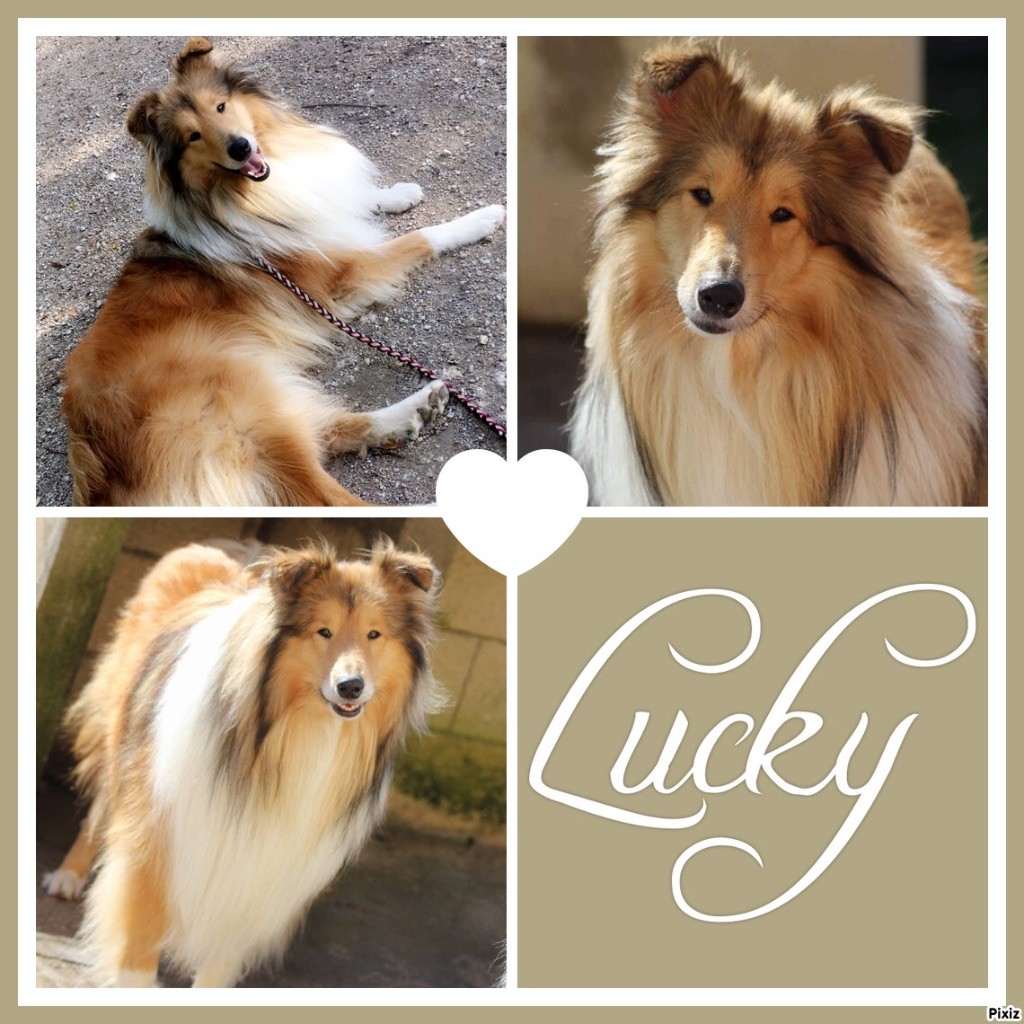 Lucky charm des marecages du Prince