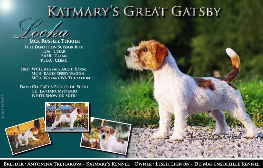 katmary's Great gatsby