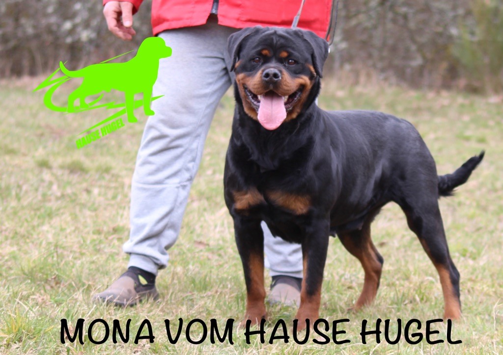 Mona Vom Hause Hugel