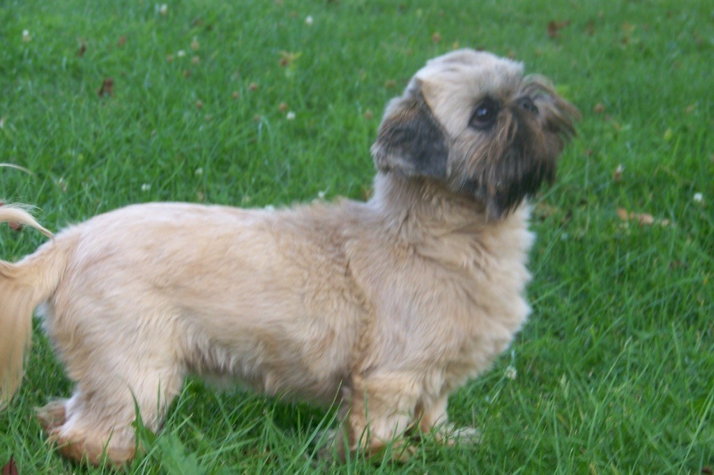 Nya lee Du logis de beaumanoir