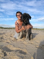 Étalon Schnauzer Geant - Coco chanel z grodu ksiazat pomorskich