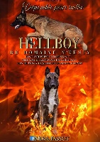 Étalon Berger Belge - Hellboy du domaine N'Kenia