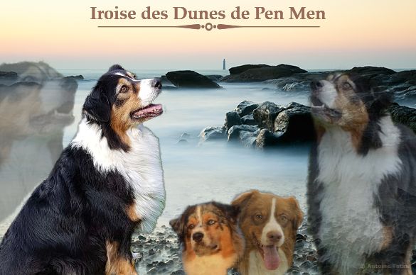 Iroise Des Dunes De Pen Men
