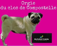 Étalon Carlin - Orgie Du Clos De Compostelle