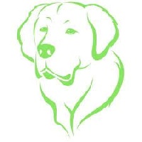 Étalon Golden Retriever - R'quy De La Villa Des Truffes D'or