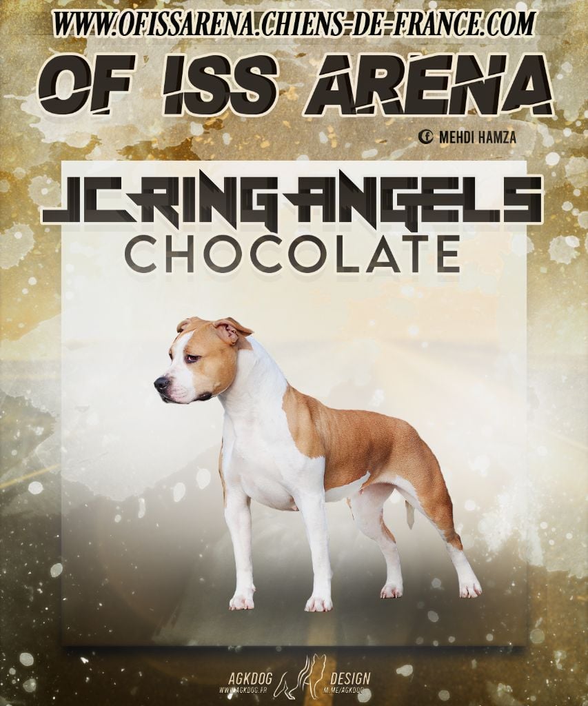 Publication : Of Iss Arena  