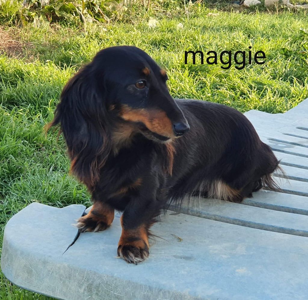 Maggie domaine de luard