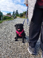 Rocky I Believe I Can Fly