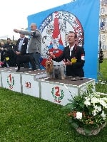 Étalon Yorkshire Terrier - CH. Guess Des Diamants D'amour