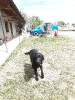 Opale du domaine de la petite baya