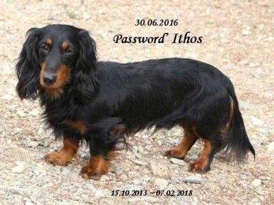 password' Ithos