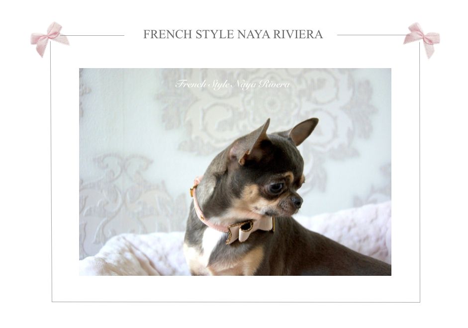 French Style Naya rivera