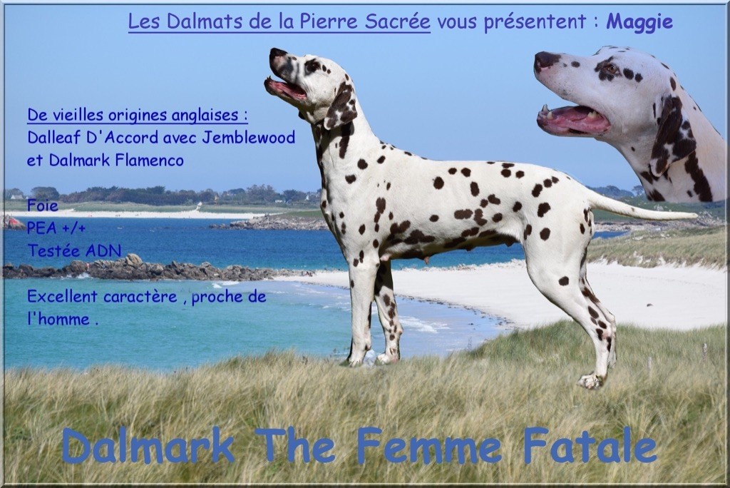 dalmark The femme fatale
