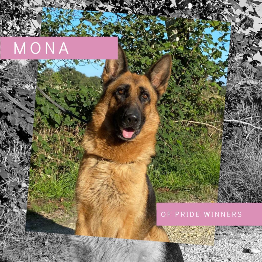 Mona Of Pride Winners