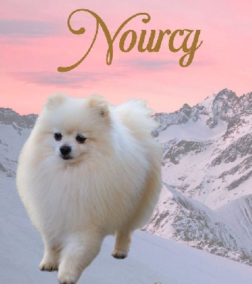 Nourcy (Sans Affixe)