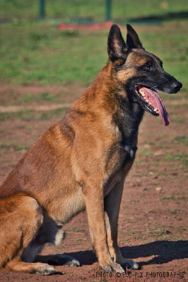 image de Mohawk