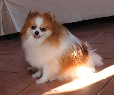 Bessy (Sans Affixe)