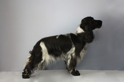 Rowny mcphee Des Doux Rêves D'Abby