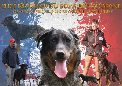 image de Nesquick