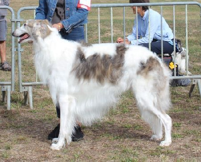 image de PorschaÏ