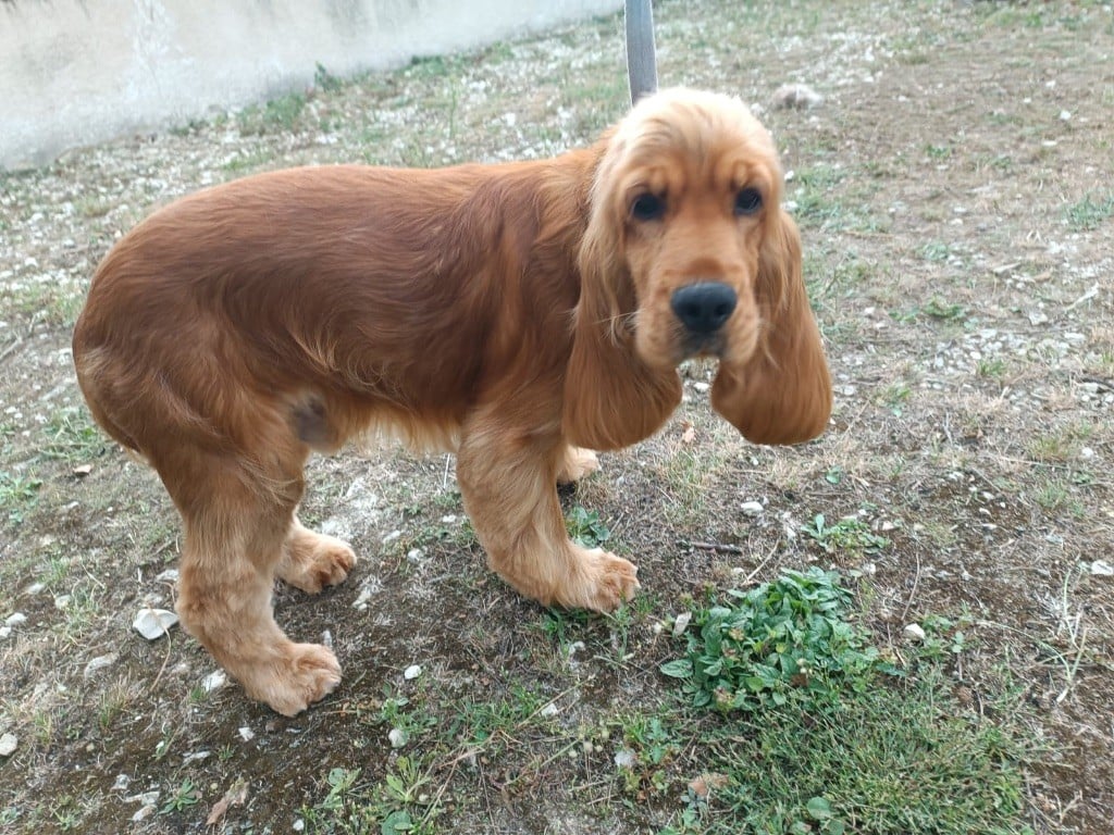 Publication : du Moulin de la Terrasse  