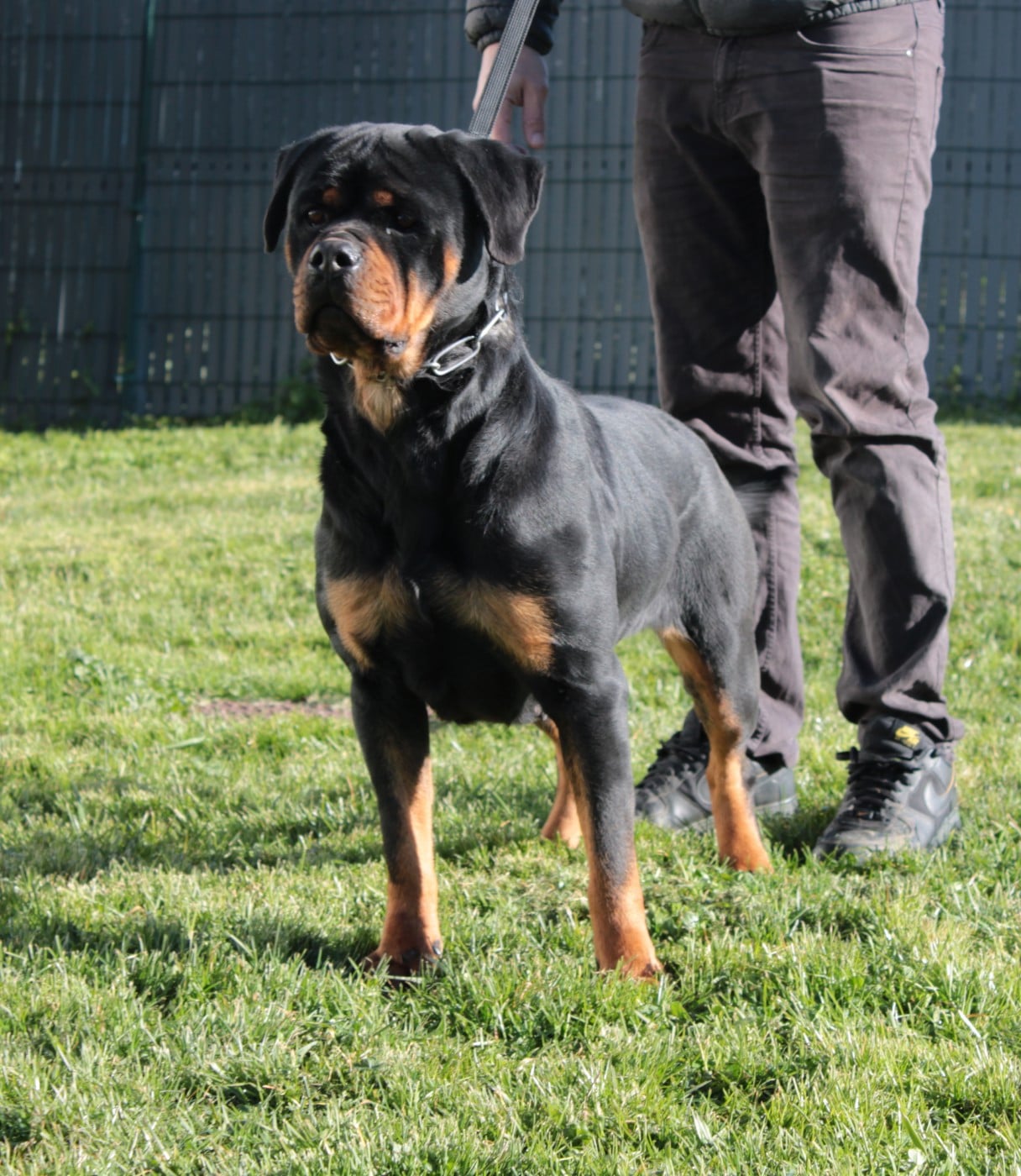 Una Of Impérial Wisdom