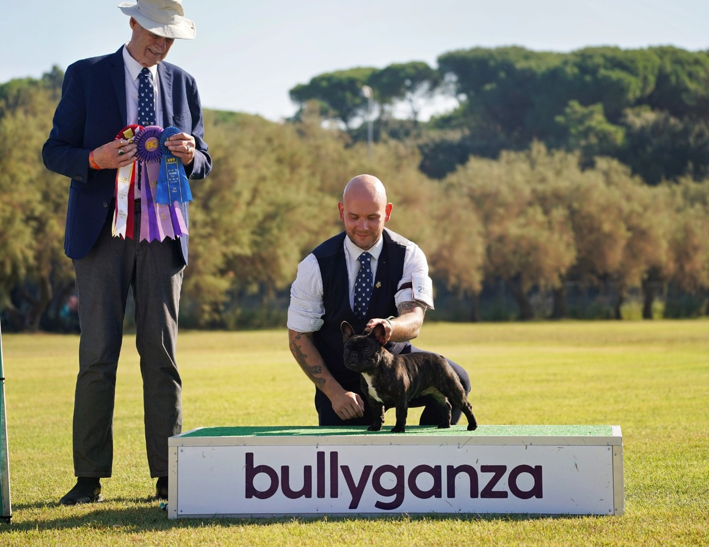 Les Bouledogue français de l'affixe   Du chemin des moulins