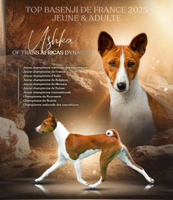 image de Ushka