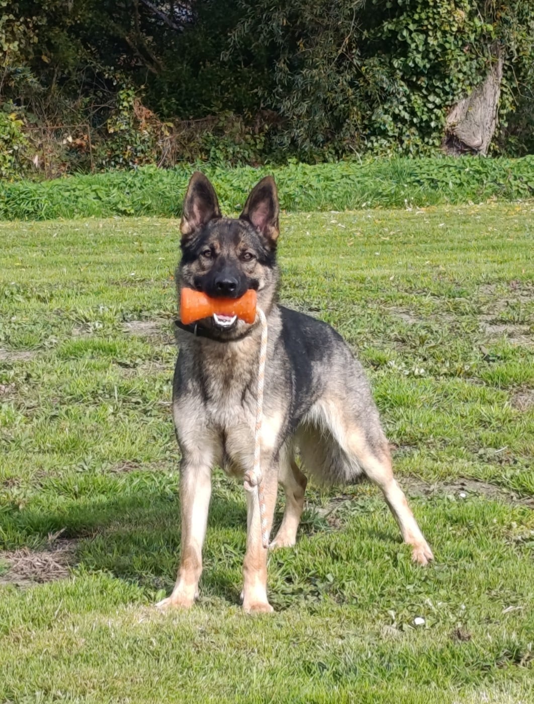 Victoria Du Chant De La Terre