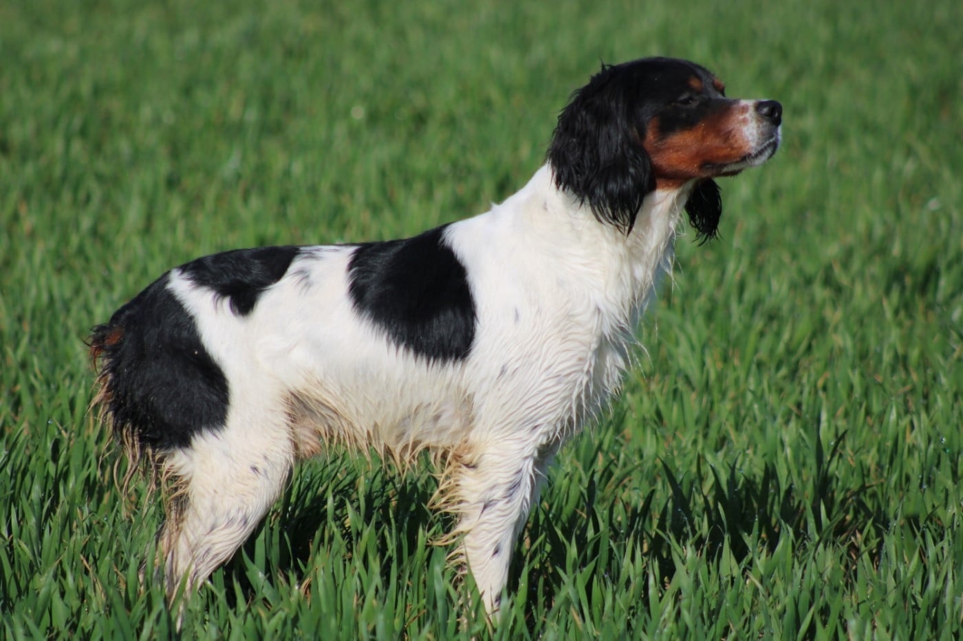 Vidoc De La Vallée De La Py