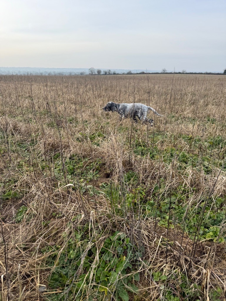 Vidocq Du Fief Du Vent