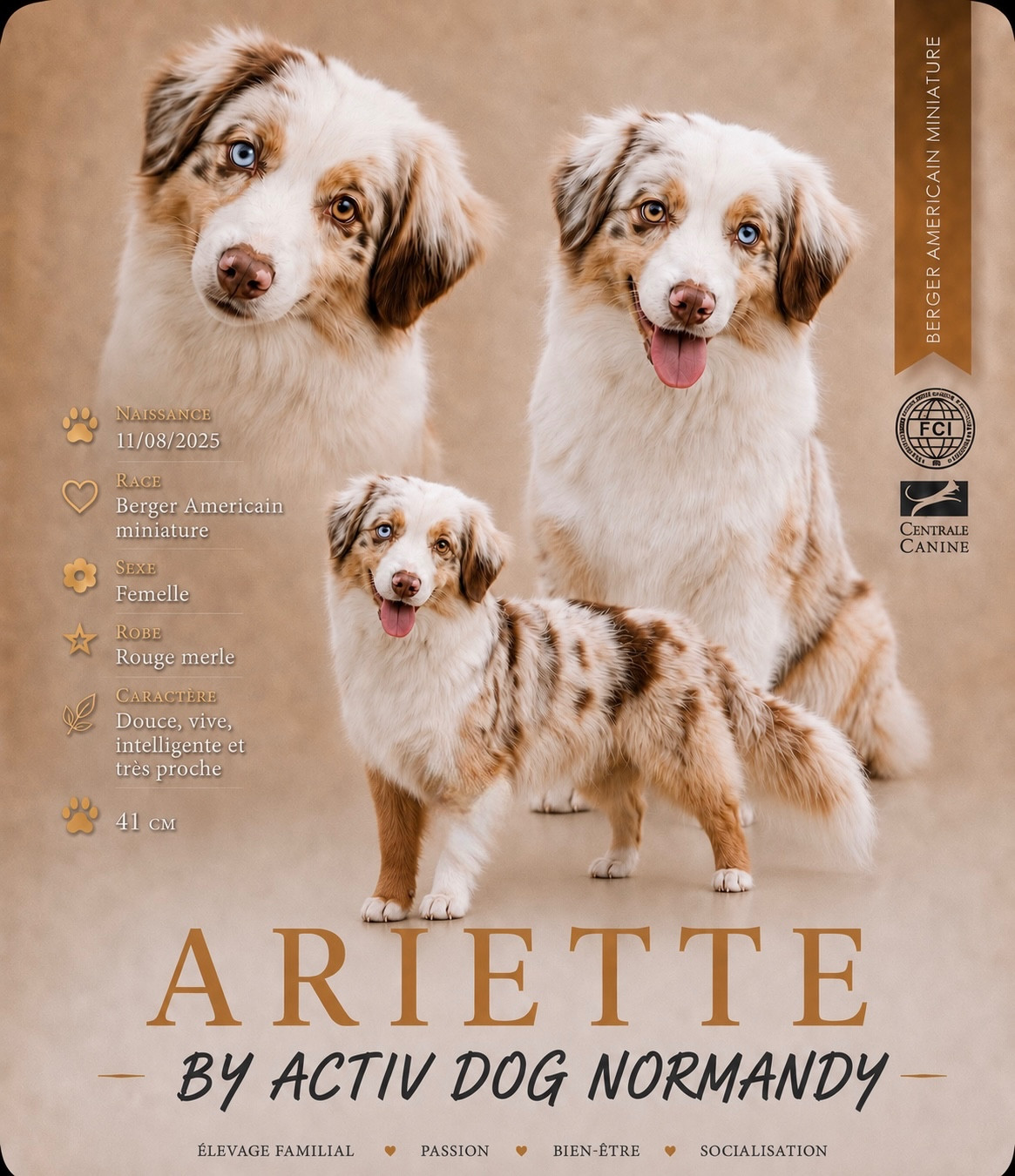Publication : Of Shepherds Little House  