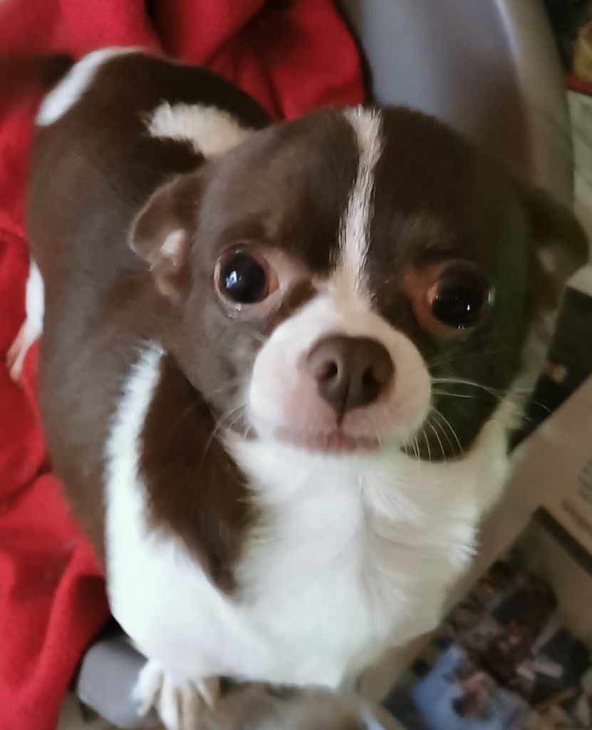 Tequila des Merveilles de Juliette