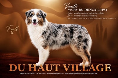 Vichy (dit vanille) du Duncallipsy
