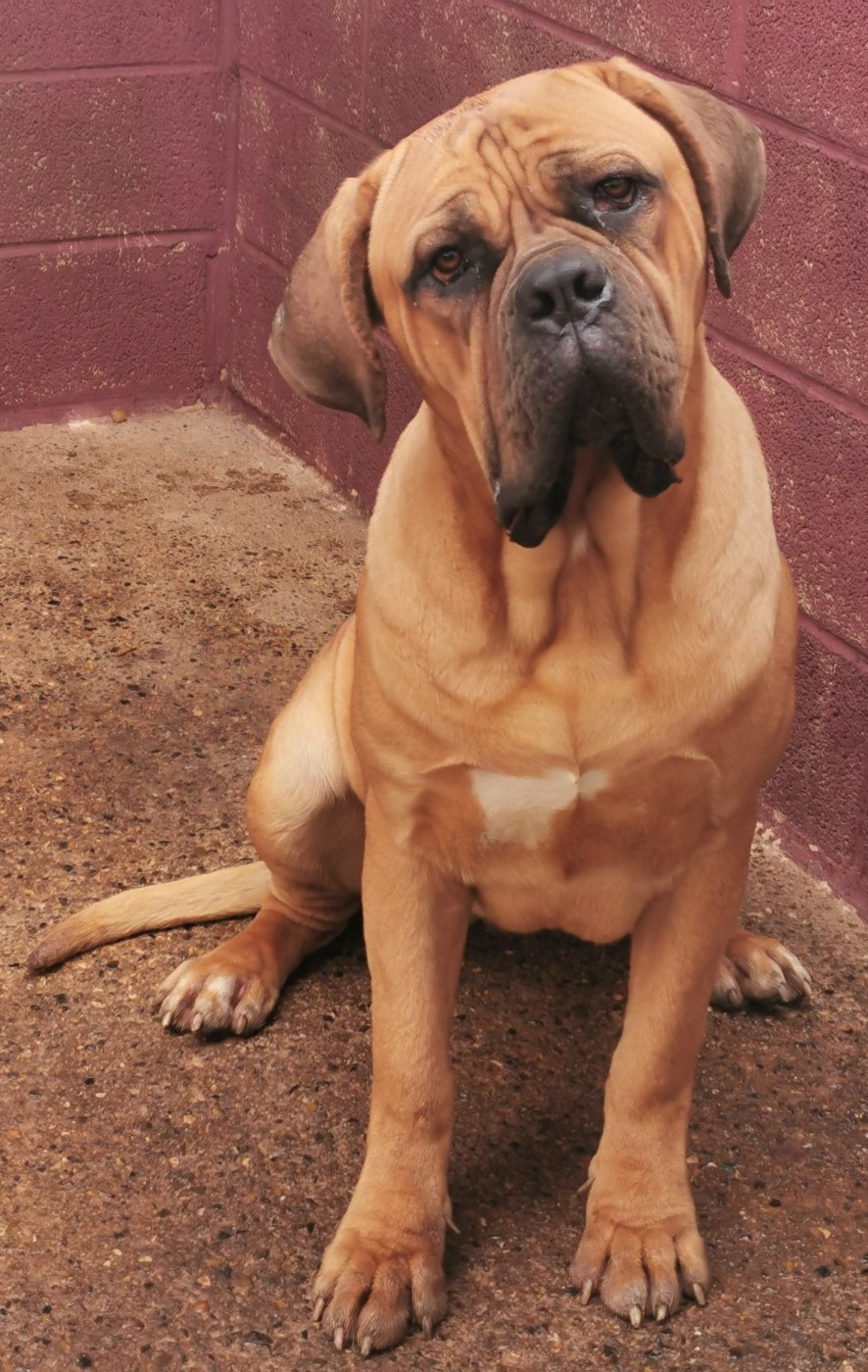 Sky du Domaine de la Ternoise